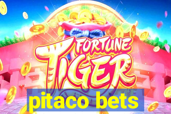 pitaco bets